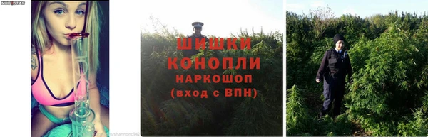 дистиллят марихуана Михайловск