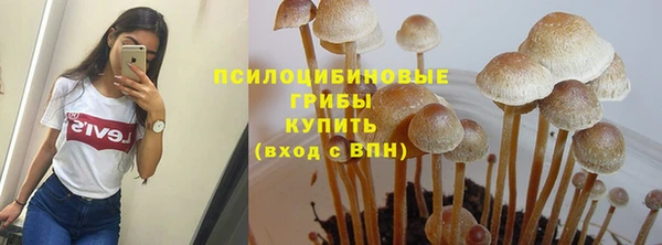 винт Михайлов