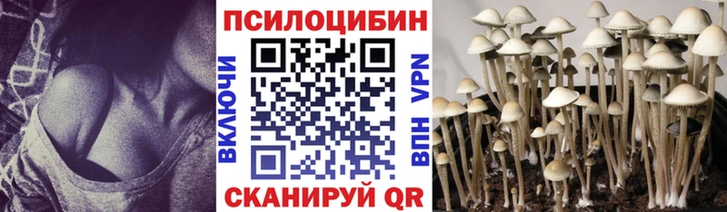 Галлюциногенные грибы GOLDEN TEACHER  продажа наркотиков  Ленинск 