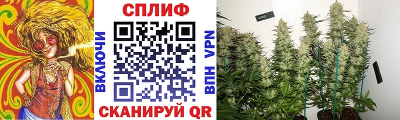 kraken ONION  купить закладку  Ленинск  Конопля THC 21% 